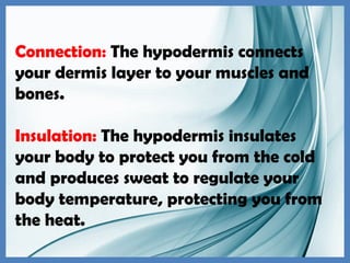 Connection: The hypodermis connects
your dermis layer to your muscles and
bones.
Insulation: The hypodermis insulates
your body to protect you from the cold
and produces sweat to regulate your
body temperature, protecting you from
the heat.
 