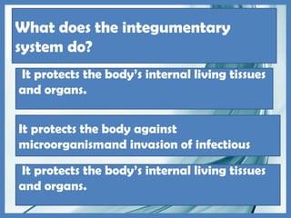 What does the integumentary
system do?
It protects the body’s internal living tissues
and organs.
It protects the body against
microorganismand invasion of infectious
organisms
It protects the body’s internal living tissues
and organs.
 