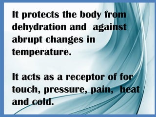 It protects the body from
dehydration and against
abrupt changes in
temperature.
It acts as a receptor of for
touch, pressure, pain, heat
and cold.
 