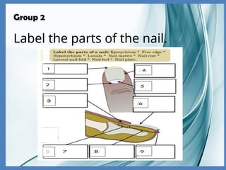 Group 2
Label the parts of the nail.
 