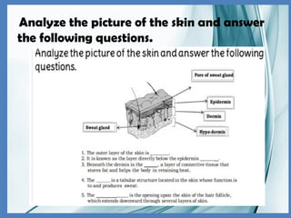 Analyze the picture of the skin and answer
the following questions.
 