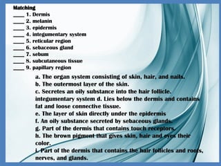 Matching
____ 1. Dermis
____ 2. melanin
____ 3. epidermis
____ 4. integumentary system
____ 5. reticular region
____ 6. sebaceous gland
____ 7. sebum
____ 8. subcutaneous tissue
____ 9. papillary region
a. The organ system consisting of skin, hair, and nails.
b. The outermost layer of the skin.
c. Secretes an oily substance into the hair follicle.
integumentary system d. Lies below the dermis and contains
fat and loose connective tissue.
e. The layer of skin directly under the epidermis
f. An oily substance secreted by sebaceous glands.
g. Part of the dermis that contains touch receptors.
h. The brown pigment that gives skin, hair and eyes their
color.
i. Part of the dermis that contains the hair follicles and roots,
nerves, and glands.
 