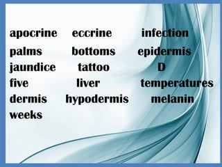 apocrine eccrine infection
palms bottoms epidermis
jaundice tattoo D
five liver temperatures
dermis hypodermis melanin
weeks
 