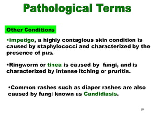 Intego Infection Integumentary Anatomy physiology PPT.ppt