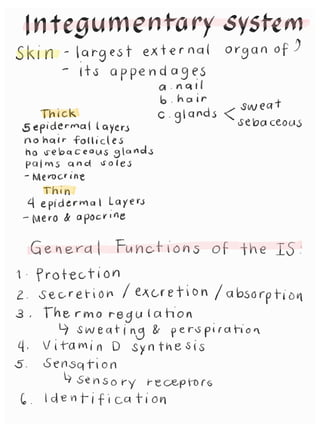 Anatomy and Physiology | Integumentary system and skeletal system - Nursing Handouts