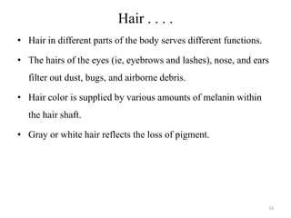 Incompatibility Hair Integumentary disorders | PDF