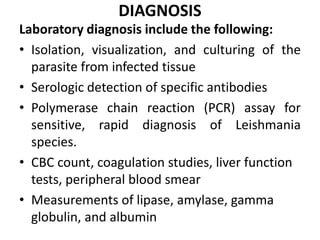 Integumentary disorders 4
