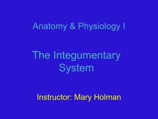 Anatomy & Physiology I
The Integumentary
System
Instructor: Mary Holman
 