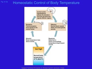 Temperature Stimuli Integumentary Sys.ppt