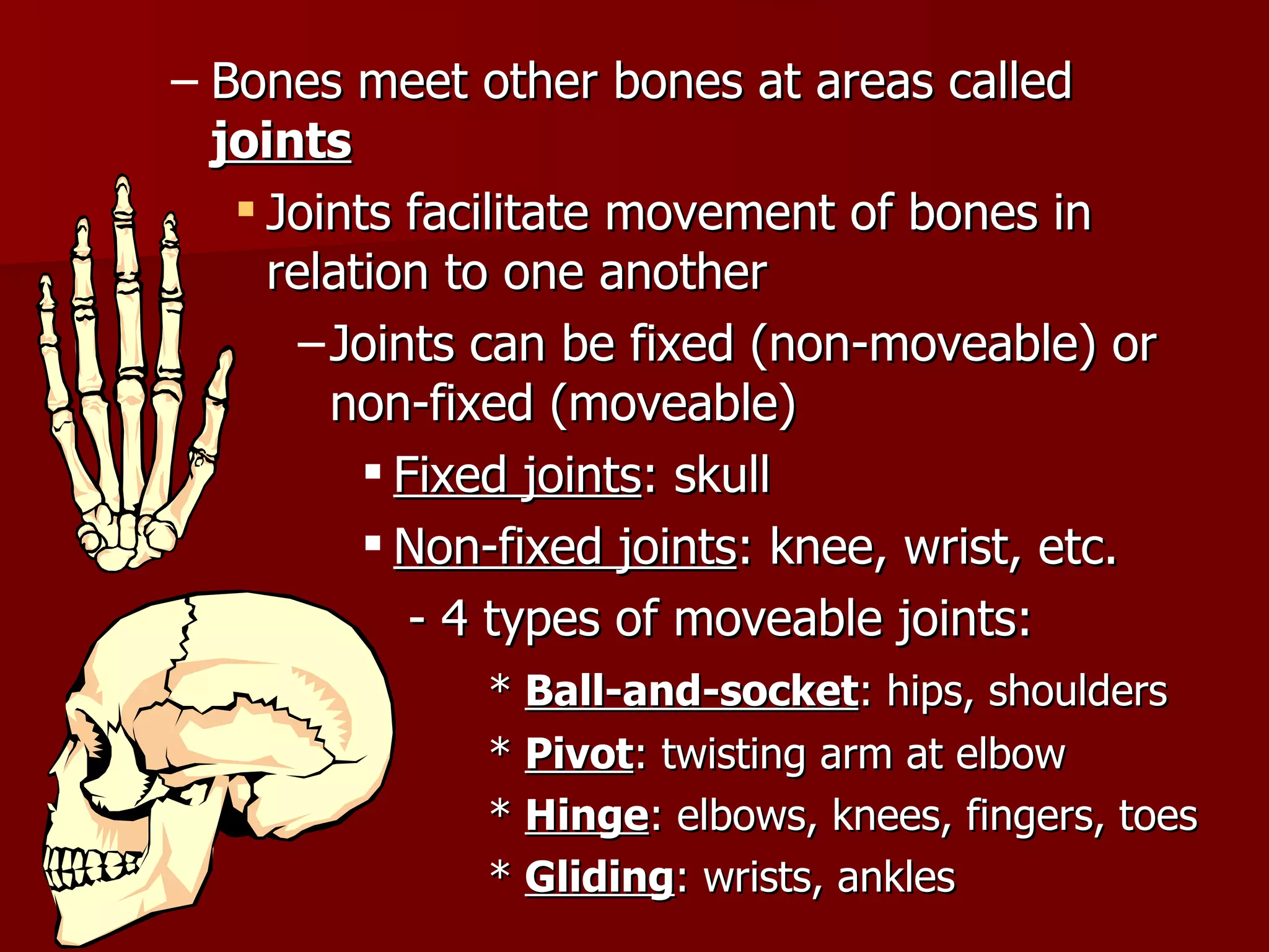 Bones meet other bones at areas called  joints Joints facilitate movement of bones in relation to one another Joints can be fixed (non-moveable) or non-fixed (moveable) Fixed joints : skull Non-fixed joints : knee, wrist, etc. - 4 types of moveable joints: *  Ball-and-socket : hips, shoulders *  Pivot : twisting arm at elbow *  Hinge : elbows, knees, fingers, toes *  Gliding : wrists, ankles 