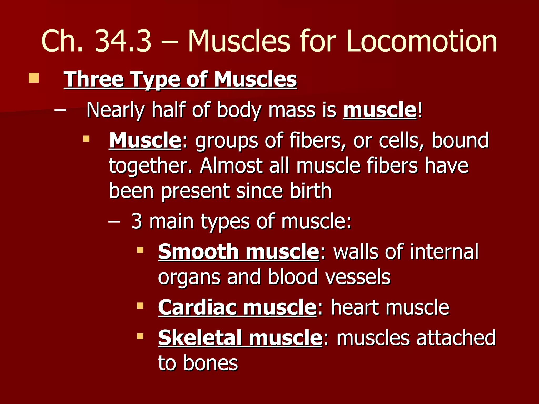Three Type of Muscles   Nearly half of body mass is  muscle ! Muscle : groups of fibers, or cells, bound together. Almost all muscle fibers have been present since birth 3 main types of muscle: Smooth muscle : walls of internal organs and blood vessels Cardiac muscle : heart muscle Skeletal muscle : muscles attached to bones Ch. 34.3 – Muscles for Locomotion 