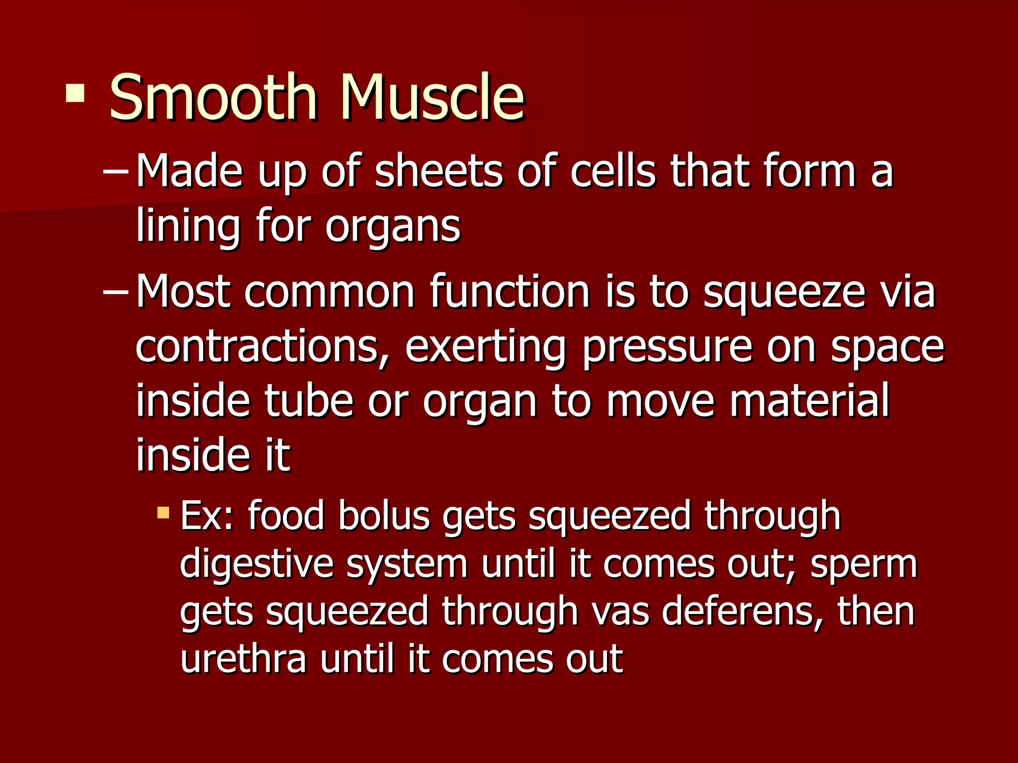 Smooth Muscle Made up of sheets of cells that form a lining for organs Most common function is to squeeze via contractions, exerting pressure on space inside tube or organ to move material inside it Ex: food bolus gets squeezed through digestive system until it comes out; sperm gets squeezed through vas deferens, then urethra until it comes out 