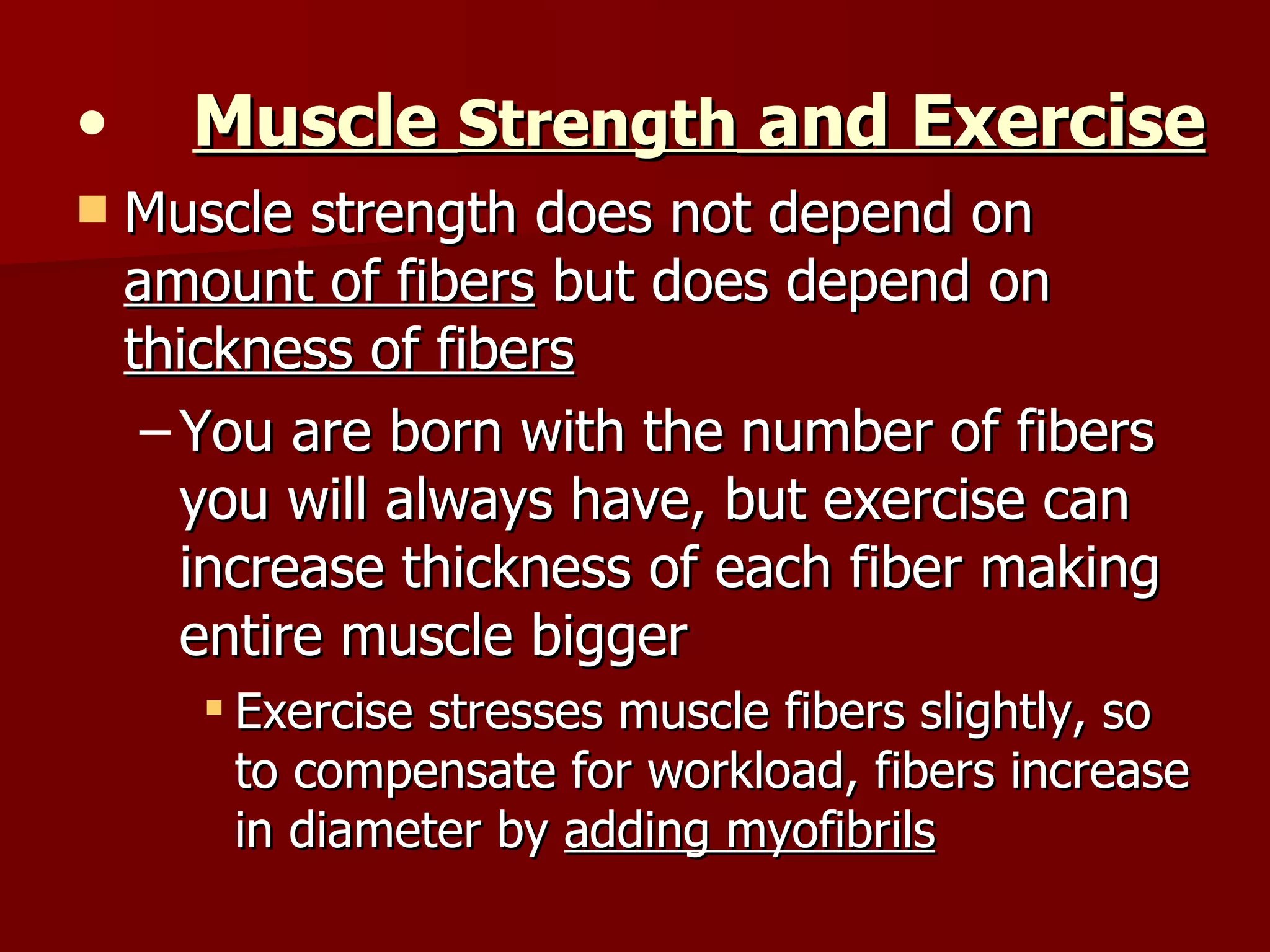 Muscle  Strength  and Exercise   Muscle strength does not depend on  amount of fibers  but does depend on  thickness of fibers You are born with the number of fibers you will always have, but exercise can increase thickness of each fiber making entire muscle bigger Exercise stresses muscle fibers slightly, so to compensate for workload, fibers increase in diameter by  adding myofibrils 