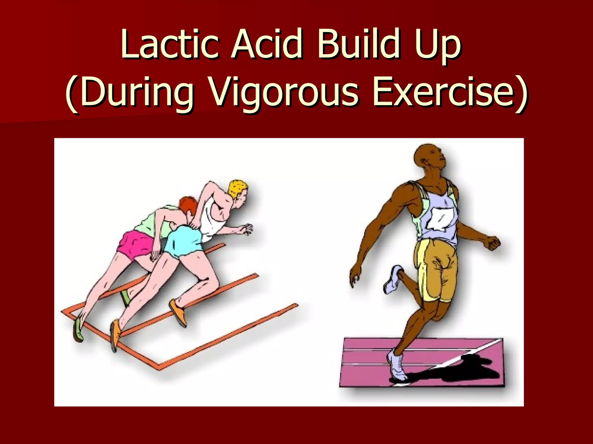 Lactic Acid Build Up  (During Vigorous Exercise) 