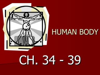 HUMAN BODY CH. 34 - 39 