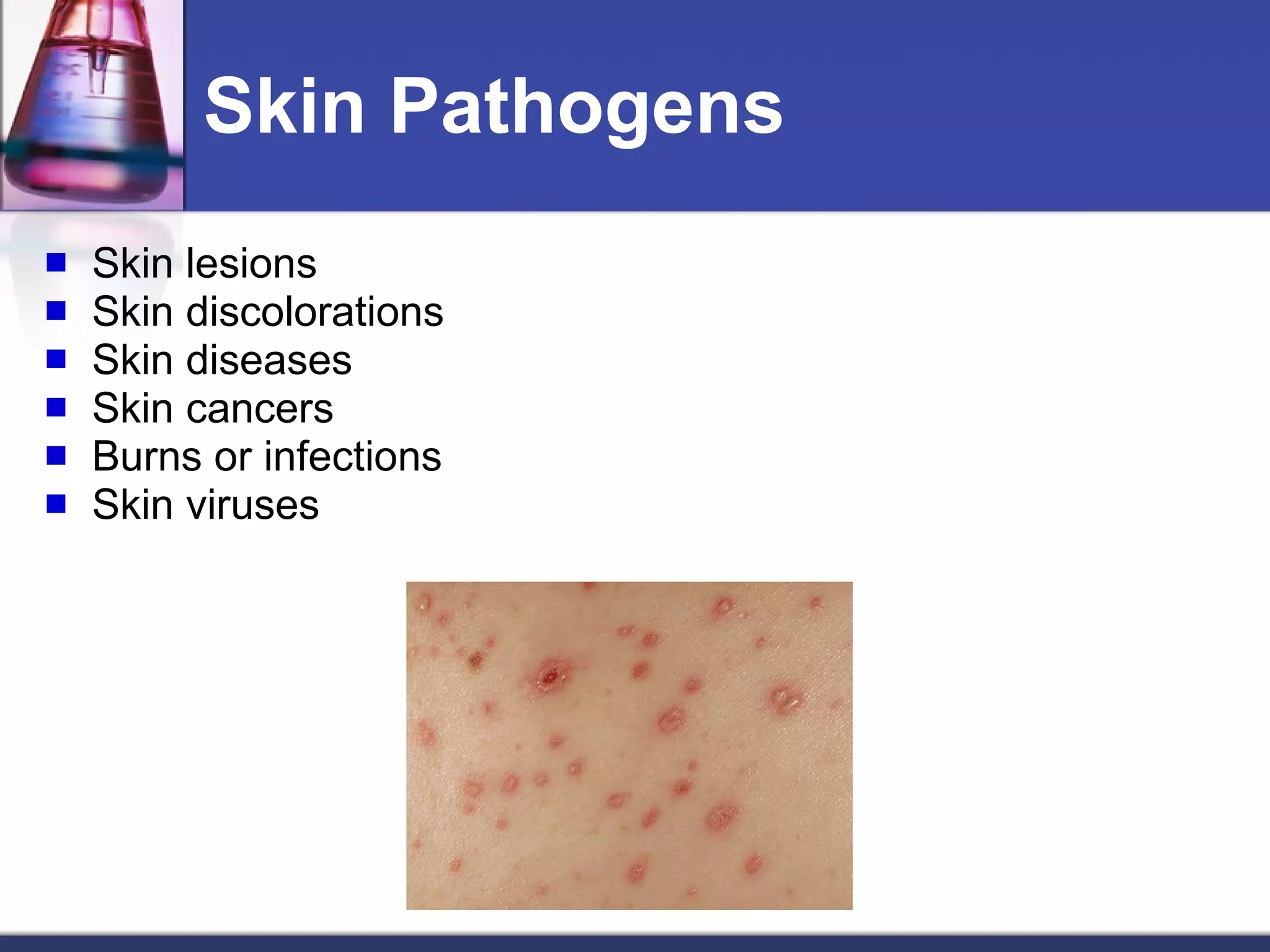 Skin Pathogens Skin lesions Skin discolorations Skin diseases  Skin cancers Burns or infections  Skin viruses 