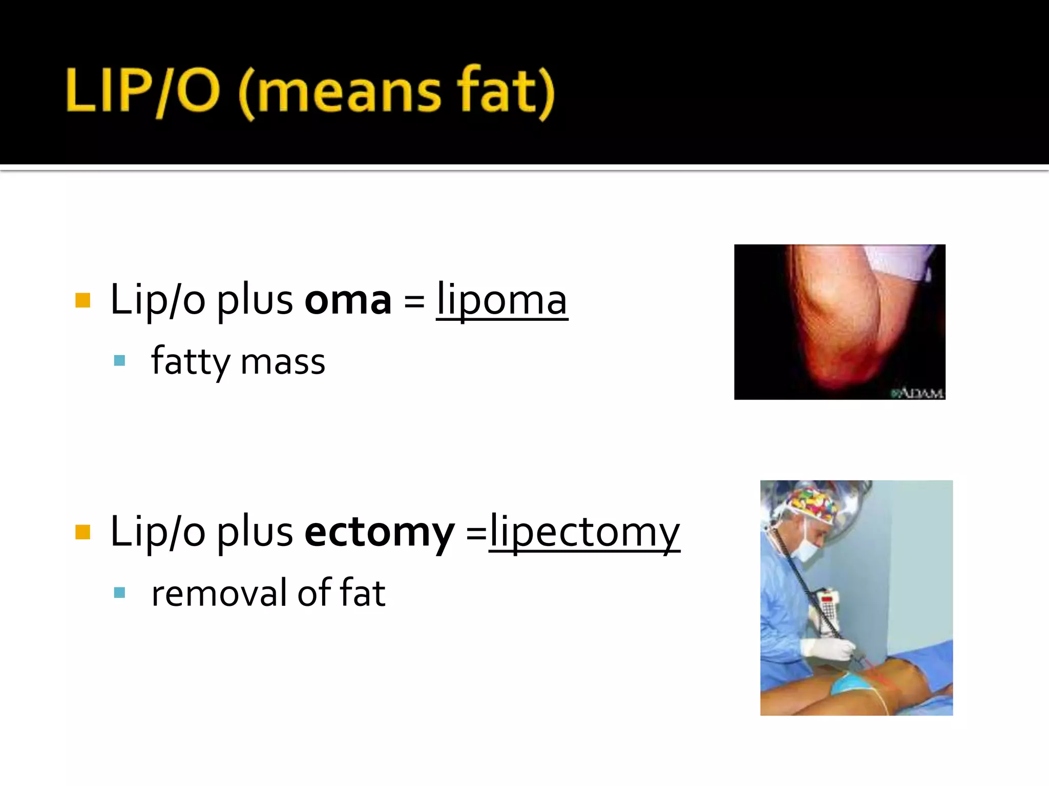 Integumentary System Ppt Free Download