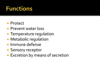 FunctionsProtectPrevent water lossTemperature regulationMetabolic regulationImmune defenseSensory receptorExcretion by means of secretion