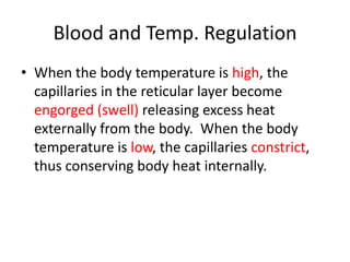 Blood and Temp. RegulationWhen the body temperature is high, the capillaries in the reticular layer become engorged (swell) releasing excess heat externally from the body.  When the body temperature is low, the capillaries constrict, thus conserving body heat internally.