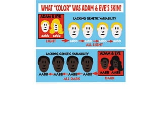 A&E skin color 