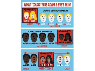 A&E skin color 