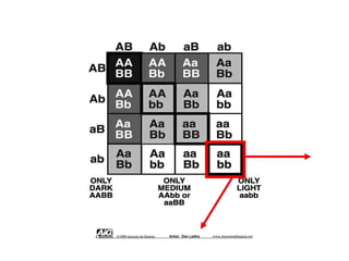 Punnit Square - grays