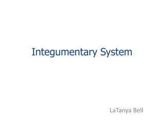 LaTanya Bell Integumentary System 
