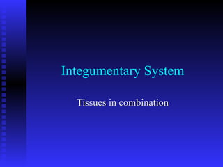 Integumentary System Tissues in combination 