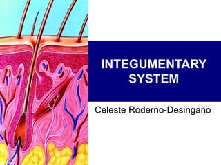 INTEGUMENTARY SYSTEM Celeste Roderno-Desingaño 