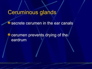 Chapter 4-- Integumentary system | PPT
