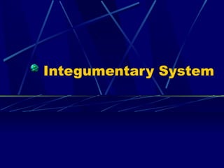 Integumentary System
 