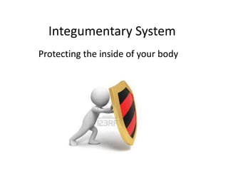 Integumentary System 
Protecting the inside of your body 
 