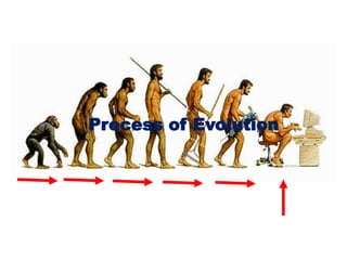 Process of Evolution