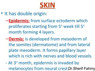 Developmet of Integumentary System (Special Embryology) | PPS