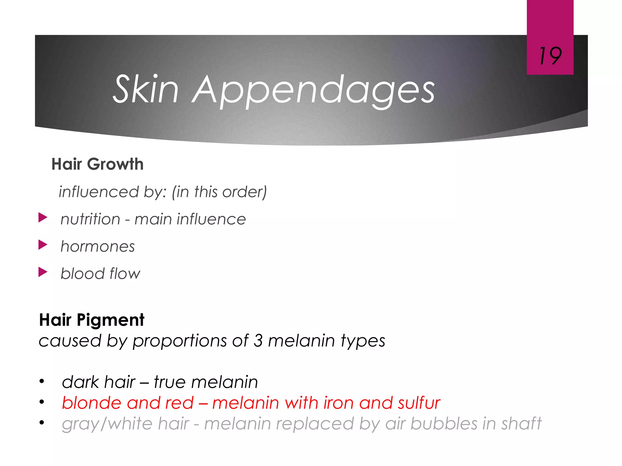Skin Appendages
Hair Growth
influenced by: (in this order)
 nutrition - main influence
 hormones
 blood flow
19
Hair Pigment
caused by proportions of 3 melanin types
• dark hair – true melanin
• blonde and red – melanin with iron and sulfur
• gray/white hair - melanin replaced by air bubbles in shaft
 