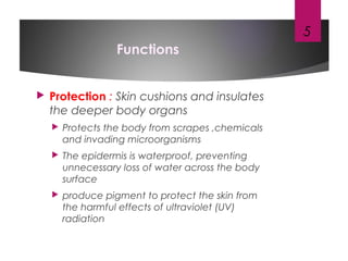 Functions
 Protection : Skin cushions and insulates
the deeper body organs
 Protects the body from scrapes ,chemicals
and invading microorganisms
 The epidermis is waterproof, preventing
unnecessary loss of water across the body
surface
 produce pigment to protect the skin from
the harmful effects of ultraviolet (UV)
radiation
5
 