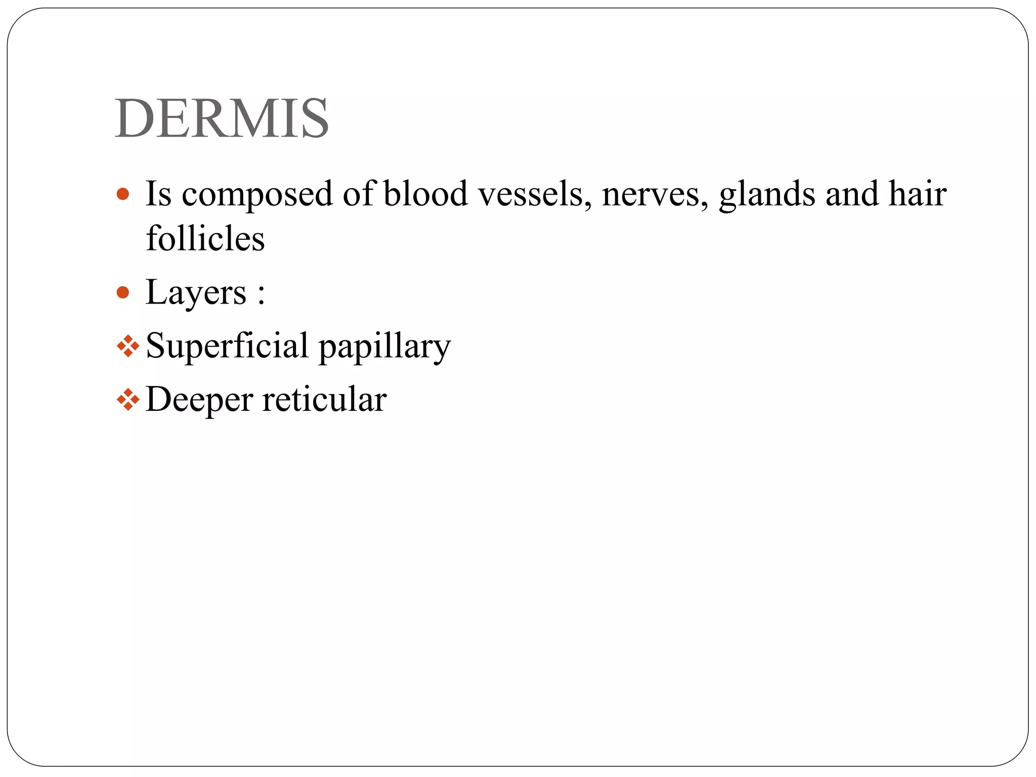 DERMIS
 Is composed of blood vessels, nerves, glands and hair
follicles
 Layers :
Superficial papillary
Deeper reticular
 