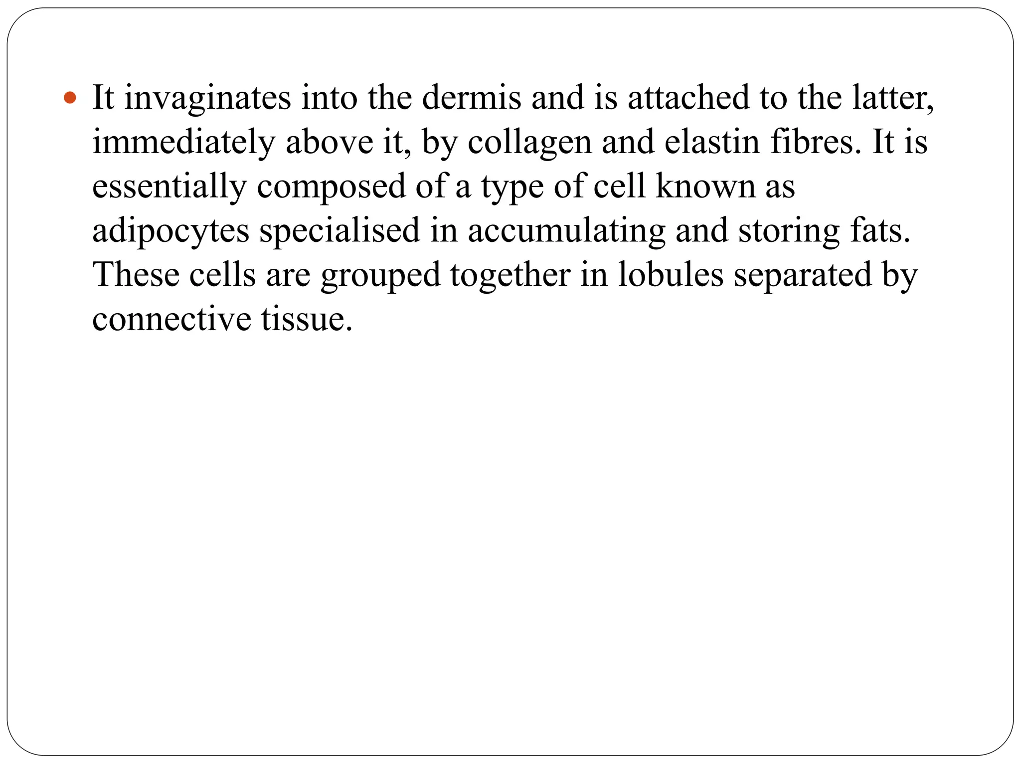 It invaginates into the dermis and is attached to the latter,
immediately above it, by collagen and elastin fibres. It is
essentially composed of a type of cell known as
adipocytes specialised in accumulating and storing fats.
These cells are grouped together in lobules separated by
connective tissue.
 