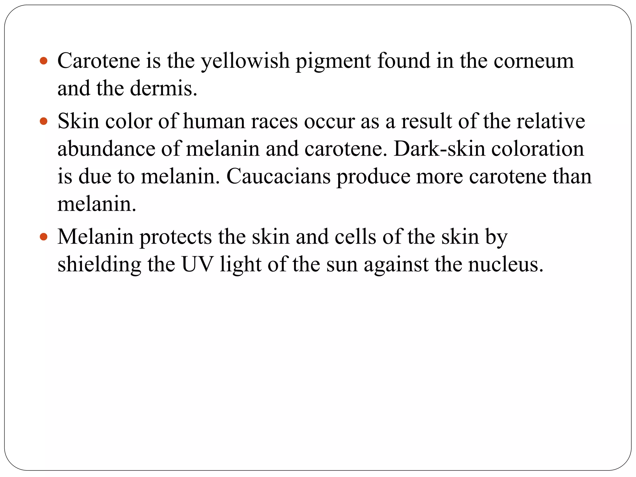  Carotene is the yellowish pigment found in the corneum
and the dermis.
 Skin color of human races occur as a result of the relative
abundance of melanin and carotene. Dark-skin coloration
is due to melanin. Caucacians produce more carotene than
melanin.
 Melanin protects the skin and cells of the skin by
shielding the UV light of the sun against the nucleus.
 