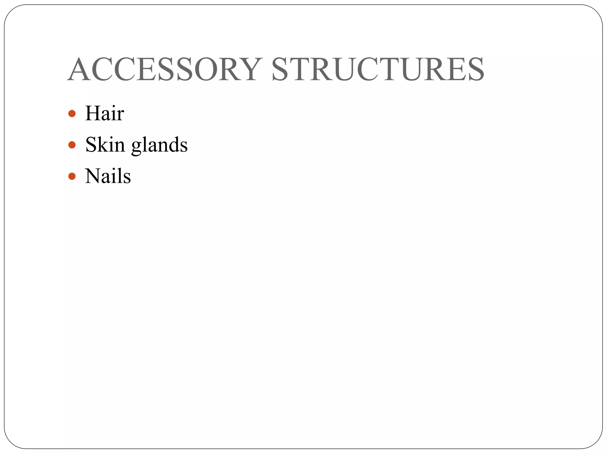 ACCESSORY STRUCTURES
 Hair
 Skin glands
 Nails
 