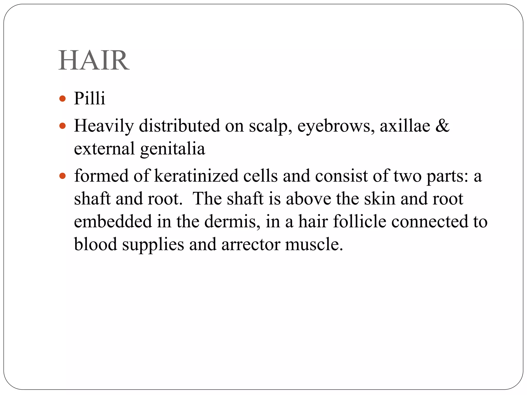 HAIR
 Pilli
 Heavily distributed on scalp, eyebrows, axillae &
external genitalia
 formed of keratinized cells and consist of two parts: a
shaft and root. The shaft is above the skin and root
embedded in the dermis, in a hair follicle connected to
blood supplies and arrector muscle.
 