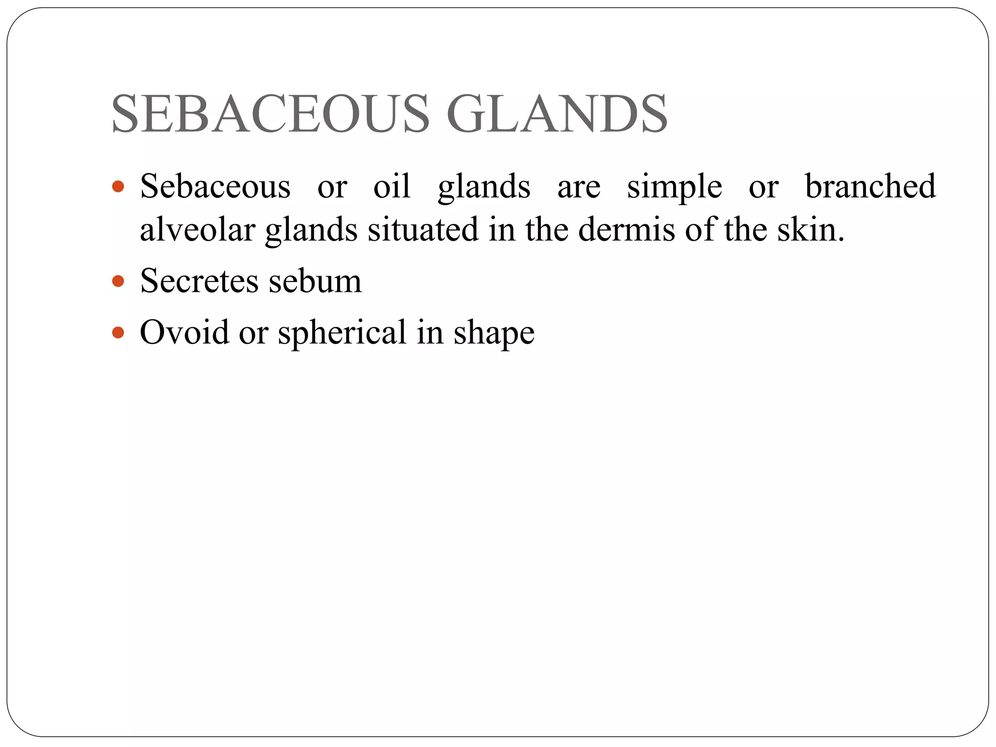 SEBACEOUS GLANDS
 Sebaceous or oil glands are simple or branched
alveolar glands situated in the dermis of the skin.
 Secretes sebum
 Ovoid or spherical in shape
 