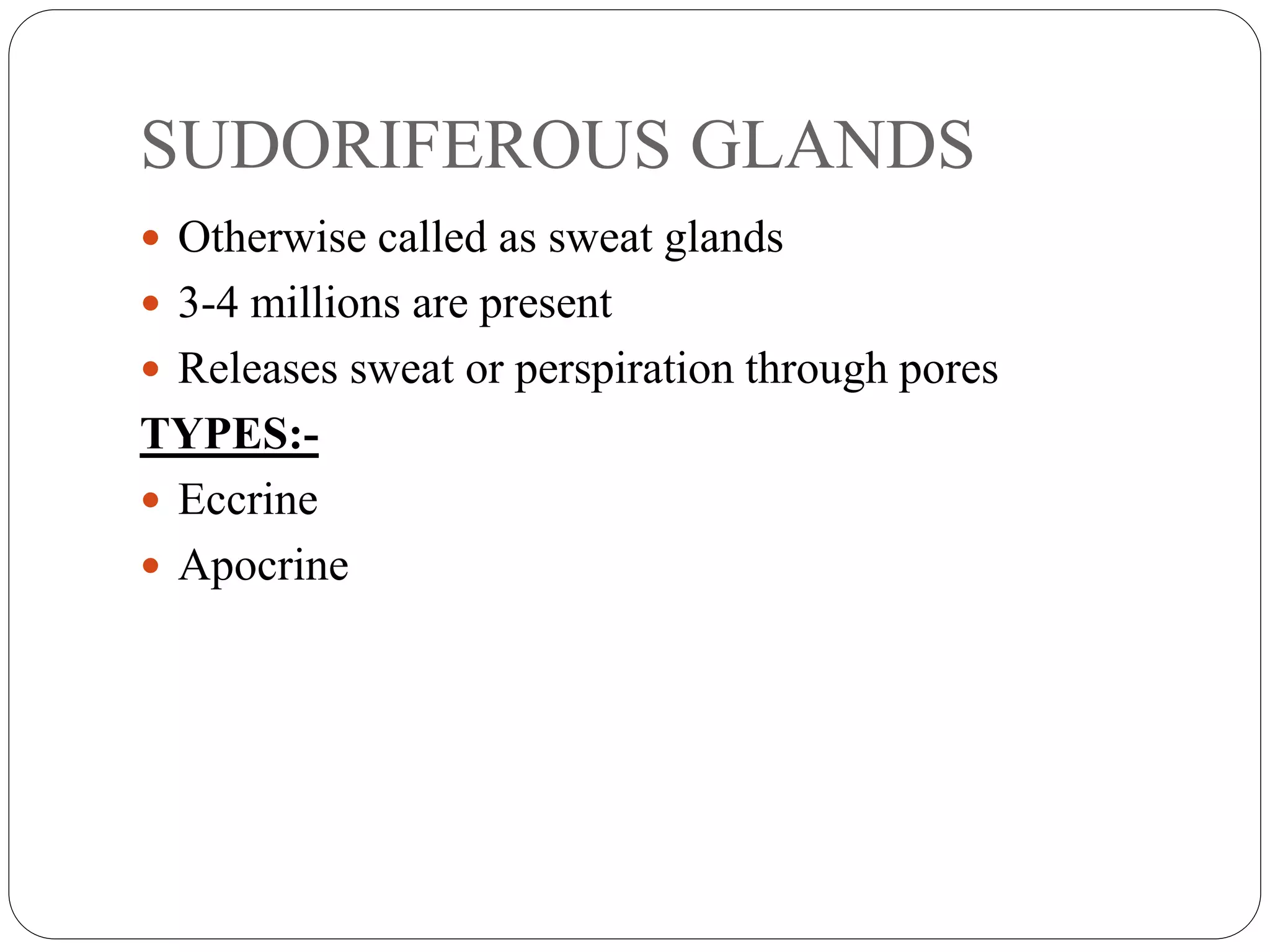 SUDORIFEROUS GLANDS
 Otherwise called as sweat glands
 3-4 millions are present
 Releases sweat or perspiration through pores
TYPES:-
 Eccrine
 Apocrine
 