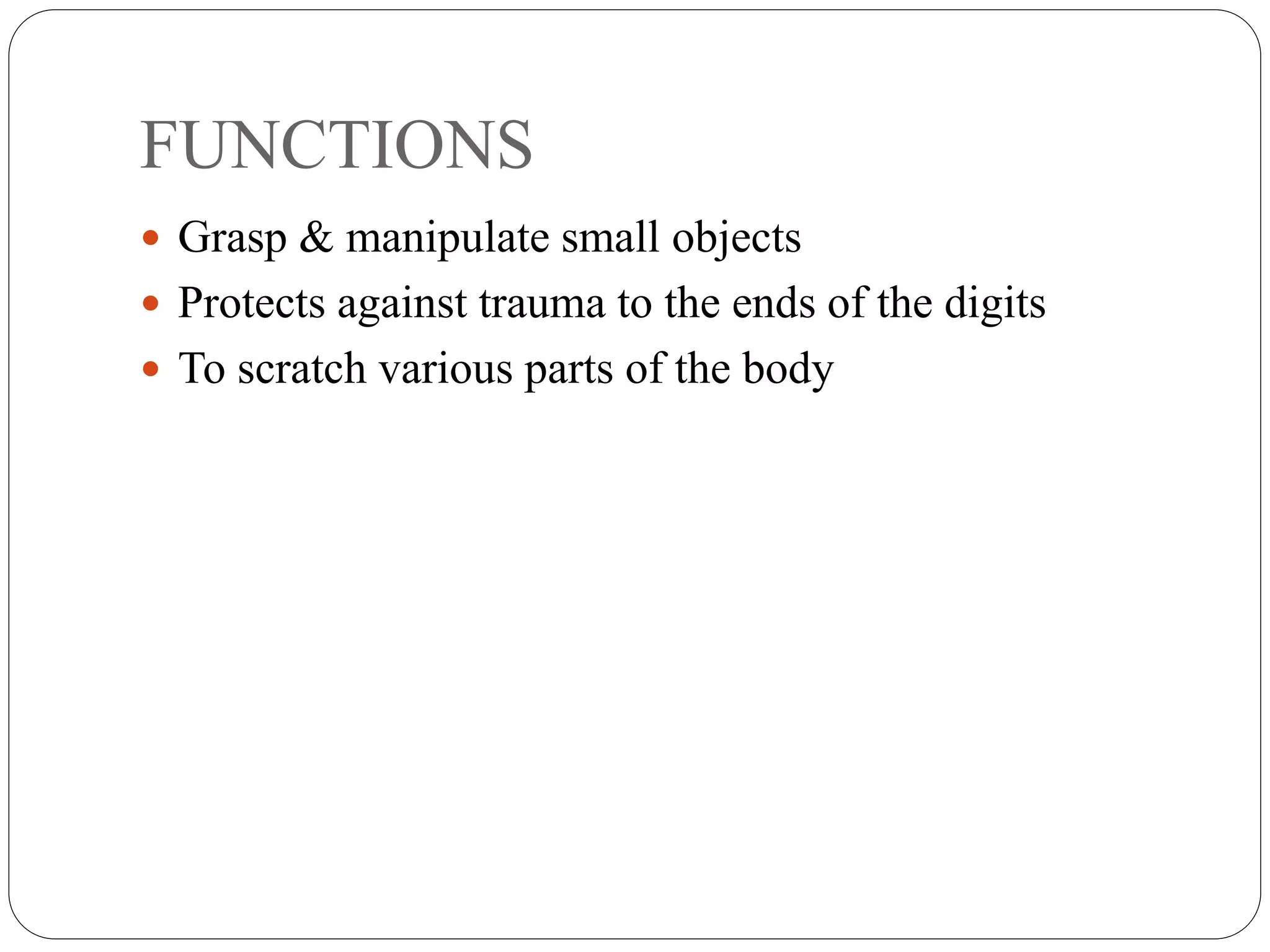 FUNCTIONS
 Grasp & manipulate small objects
 Protects against trauma to the ends of the digits
 To scratch various parts of the body
 