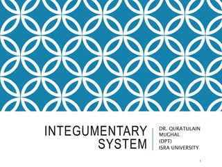 INTEGUMENTARY
SYSTEM
DR. QURATULAIN
MUGHAL
(DPT)
ISRA UNIVERSITY
1
 