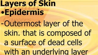 Layers of Skin
•Epidermis
-Outermost layer of the
skin. that is composed of
a surface of dead cells
with an underlying layer
 