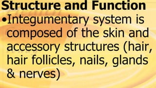 Structure and Function
•Integumentary system is
composed of the skin and
accessory structures (hair,
hair follicles, nails, glands
& nerves)
 