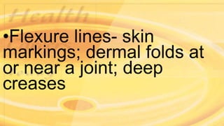 •Flexure lines- skin
markings; dermal folds at
or near a joint; deep
creases
 