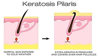 Copyright 2003 by Mosby, Inc. All rights
reserved.
 