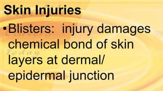 Skin Injuries
•Blisters: injury damages
chemical bond of skin
layers at dermal/
epidermal junction
 